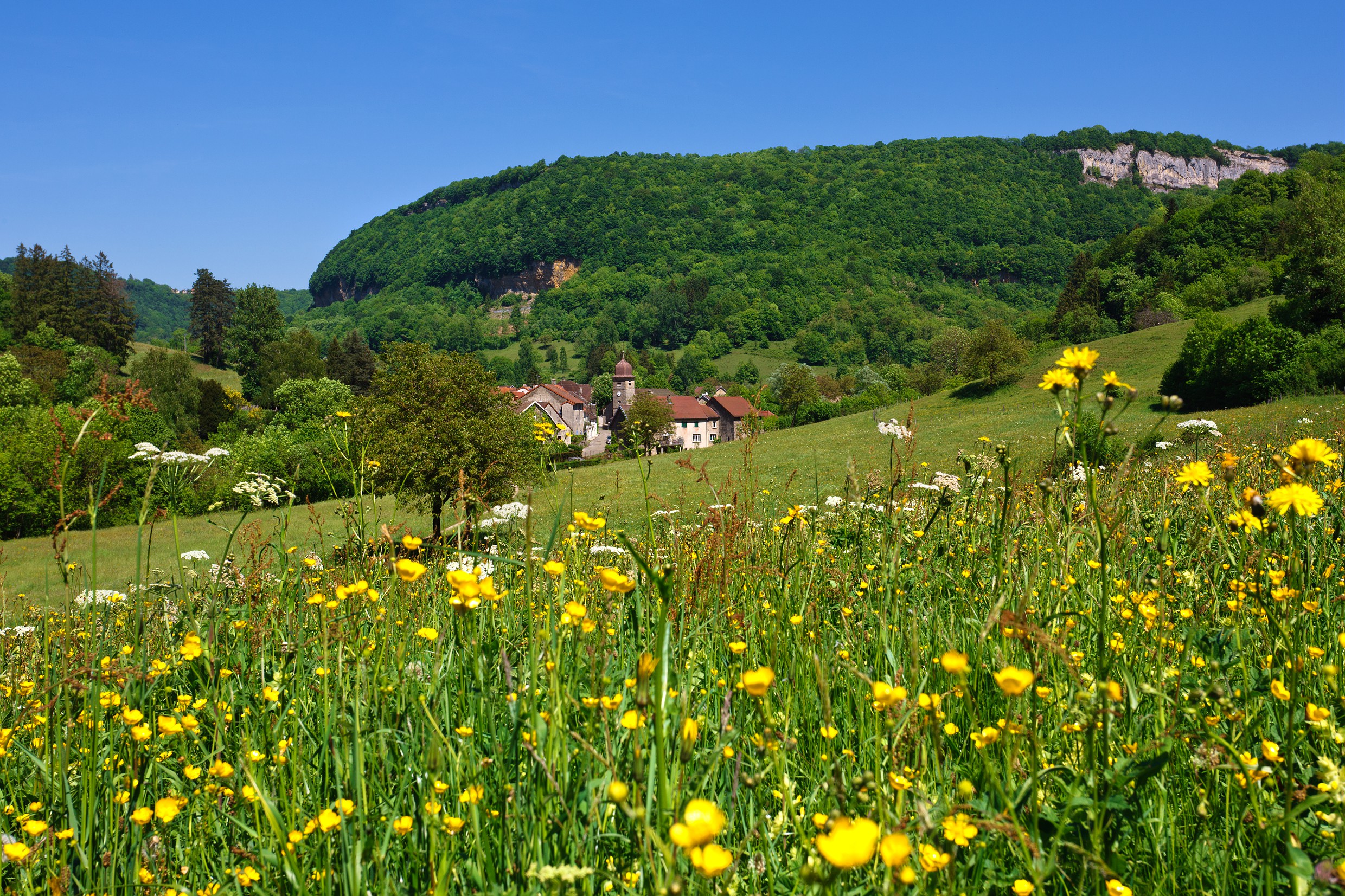 Village de Blois-sur-Seille