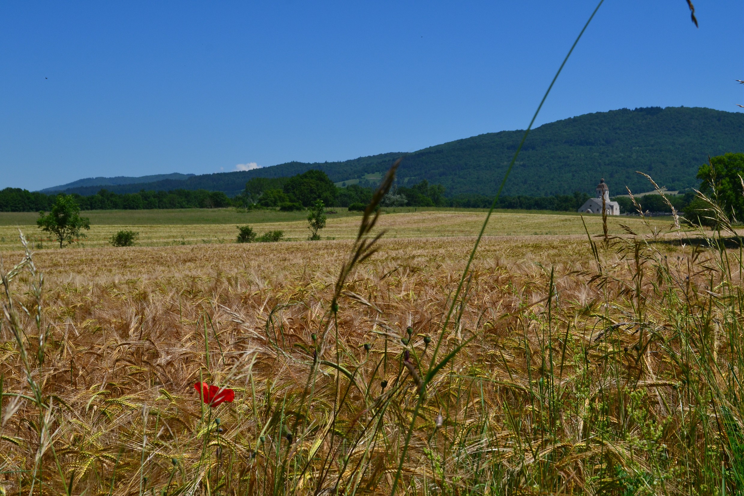 Paysage de la Petite Montagne