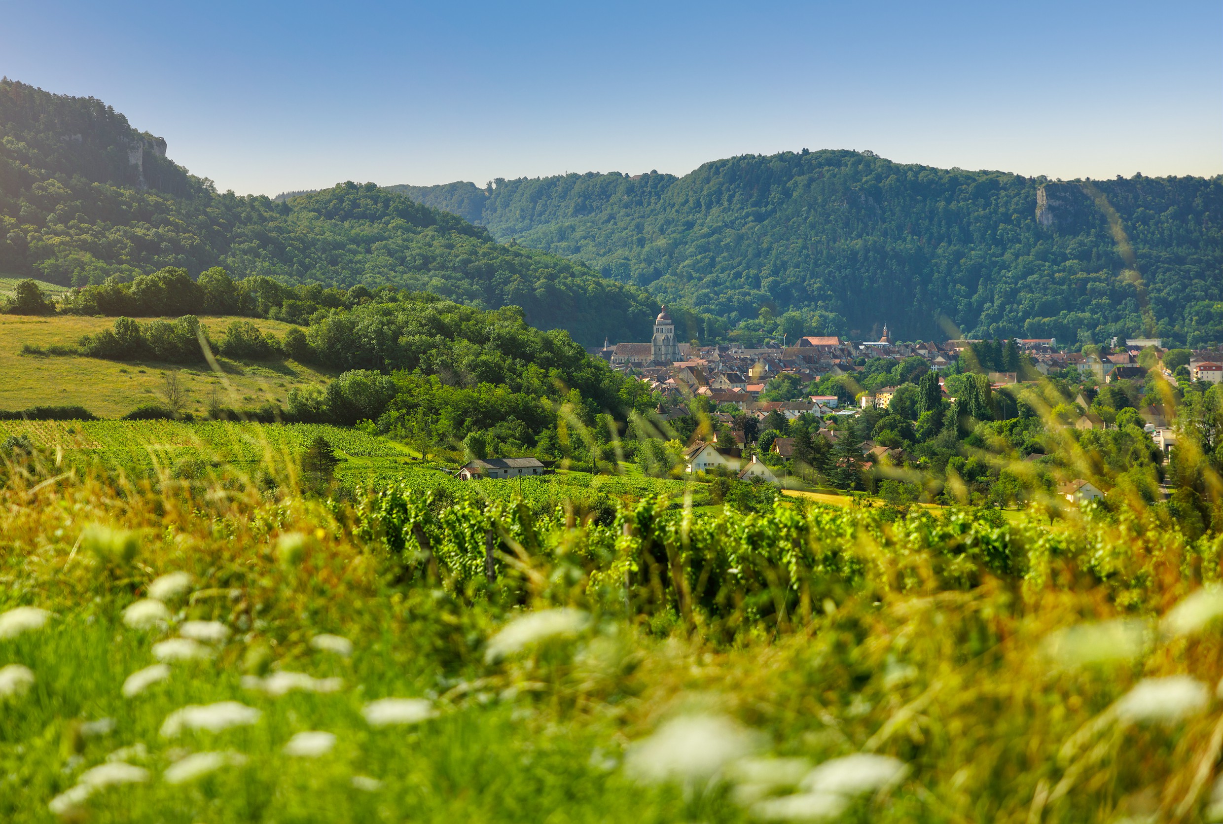 Ville de Poligny, Capitale du Comté