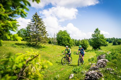 Vététistes au dessus de Lajoux