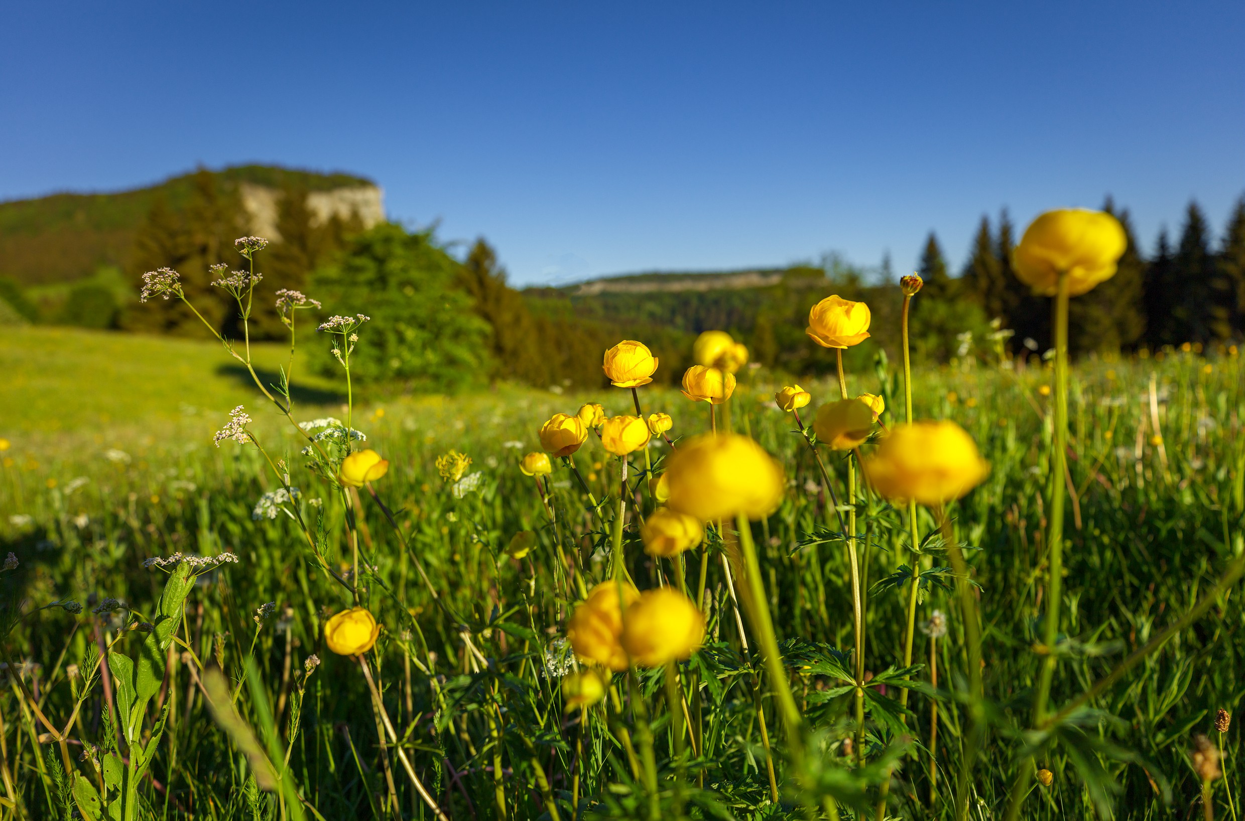 Le Mont Fier à Prémanon