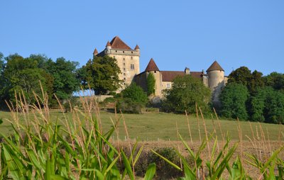 Chateau du Pin