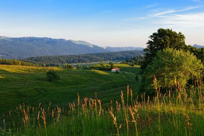 Les Hautes-Combes