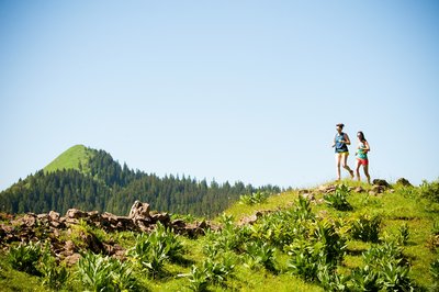 traileuses dans les Hautes-Combes et vue sur le Crêt de Chalam