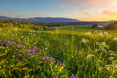 Les Hautes-Combes