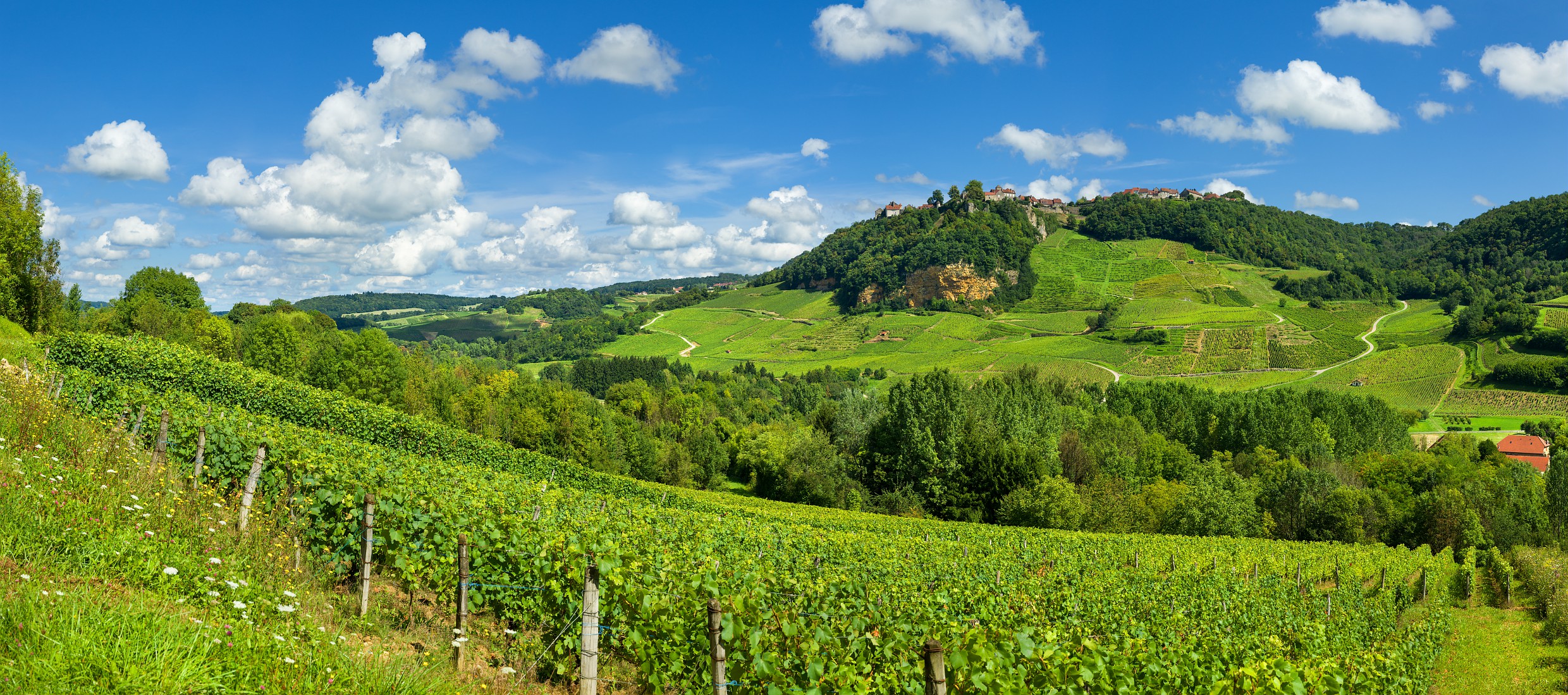 Voiteur et Château-Chalon depuis les vignes