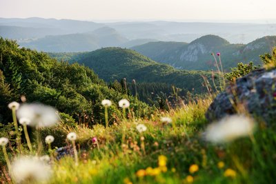 Vue du Belvédère du Bulay