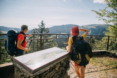 Belvédère des Dappes