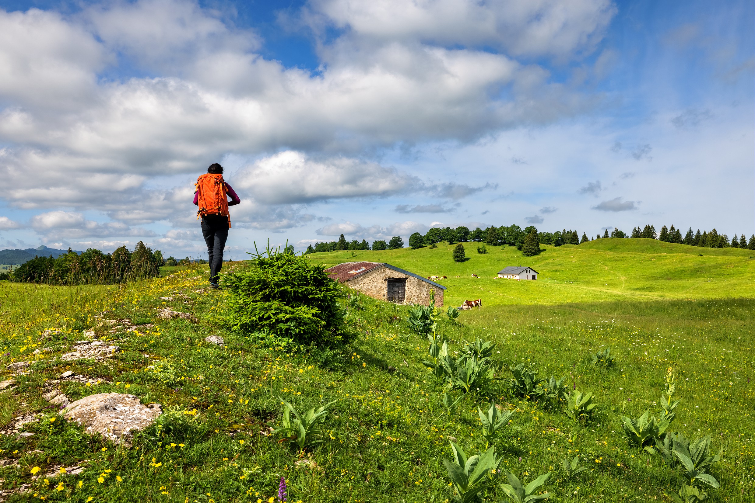 Randonnée aux Molunes