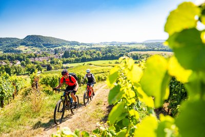 VTT et VTTAE dans le Vignoble