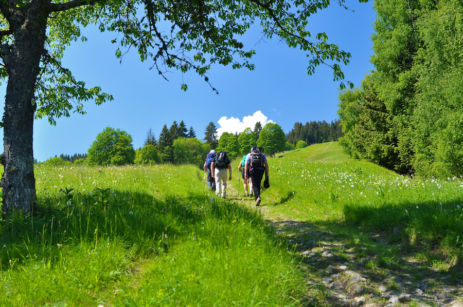 Randonneurs sur la ViaCluny