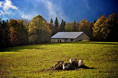 Ferme autour de Morbier