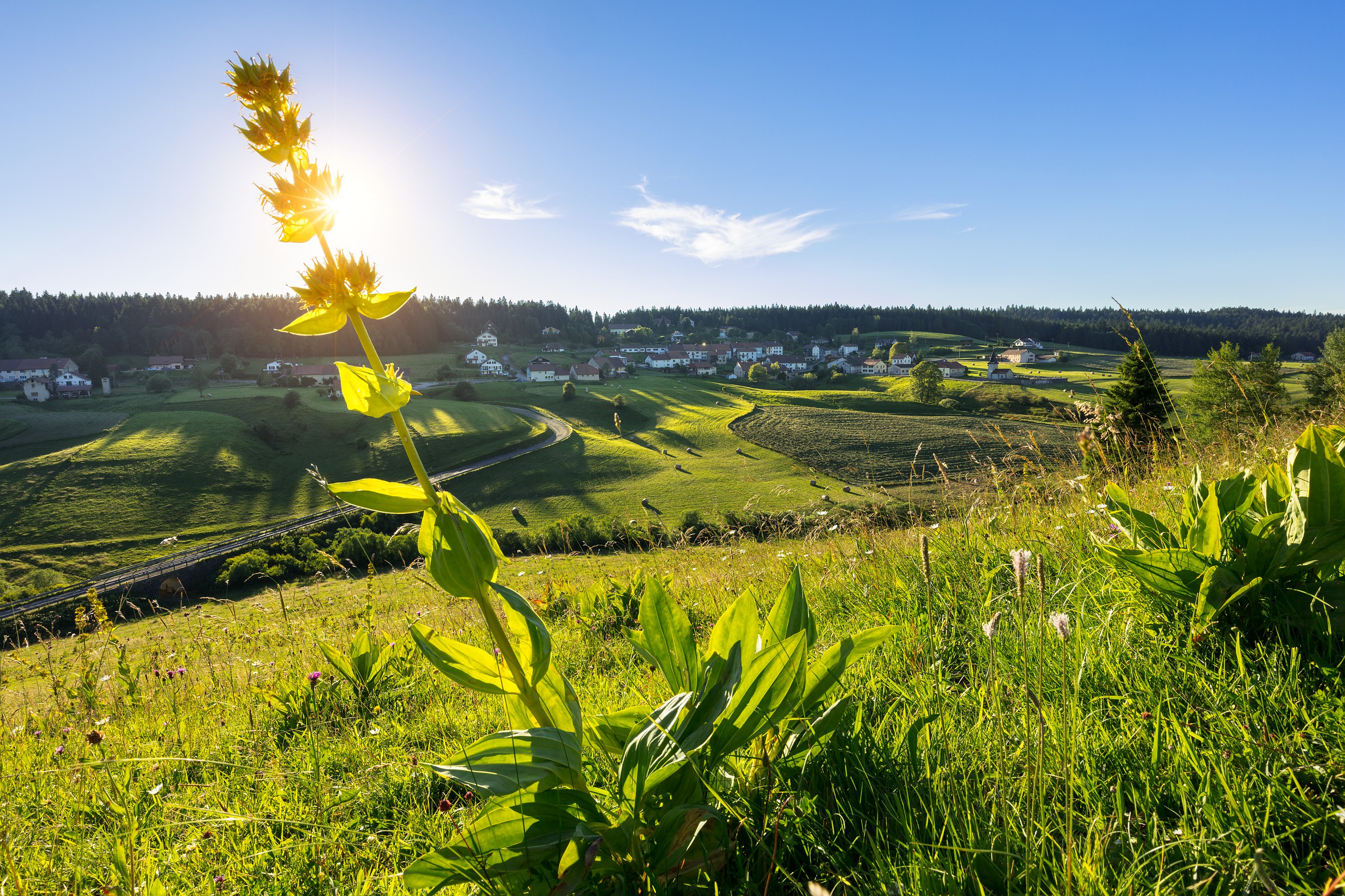 Village des Piards