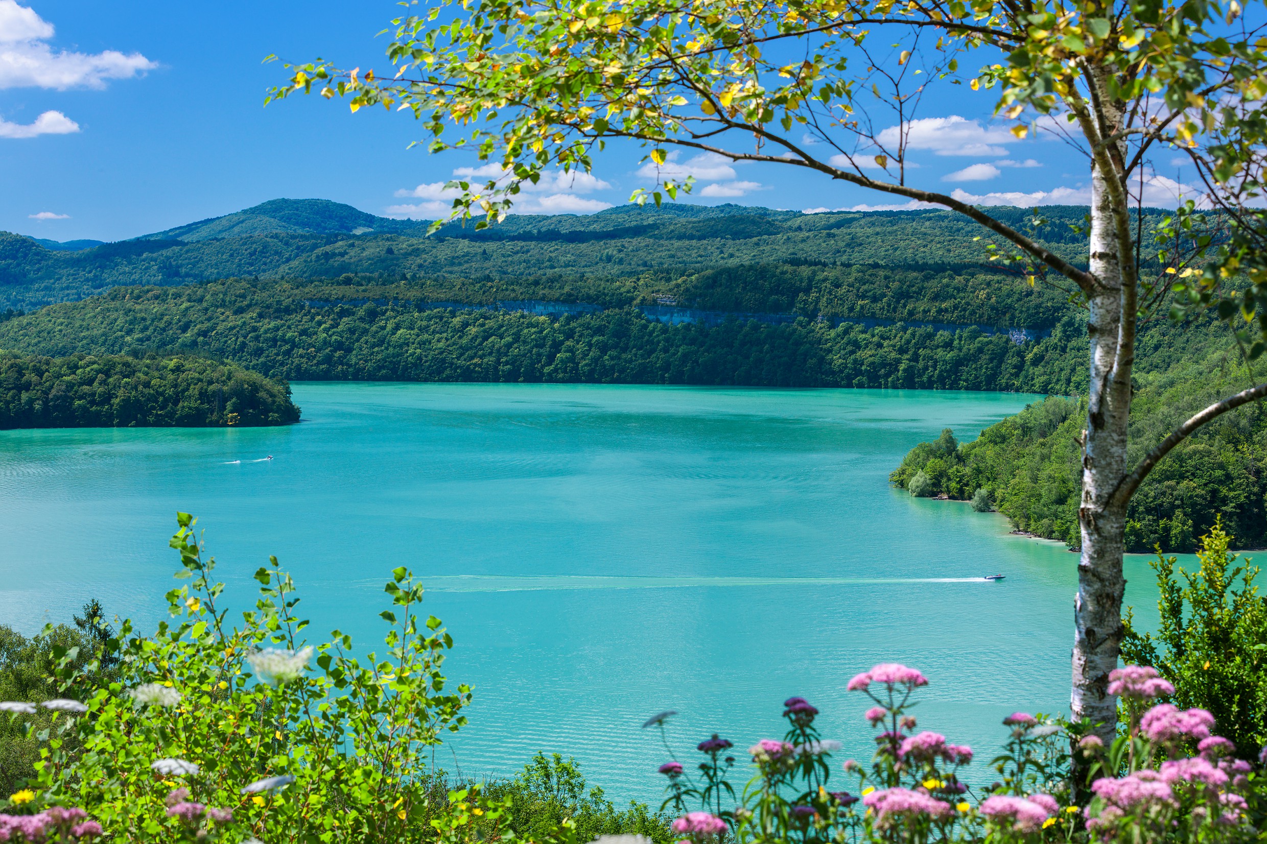 Lac de Vouglans depuis le Regardoir