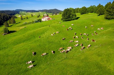 Les Hautes-Combes