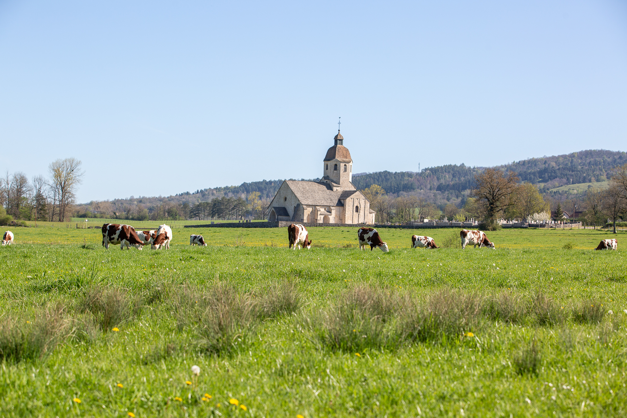 Eglise de Saint-Hymetière