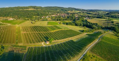 Vignes et village de Passenans