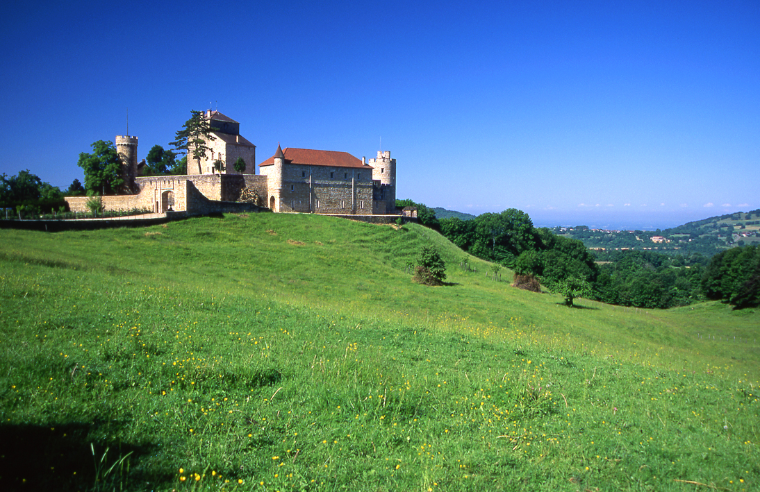 Château de Rosay (privé)