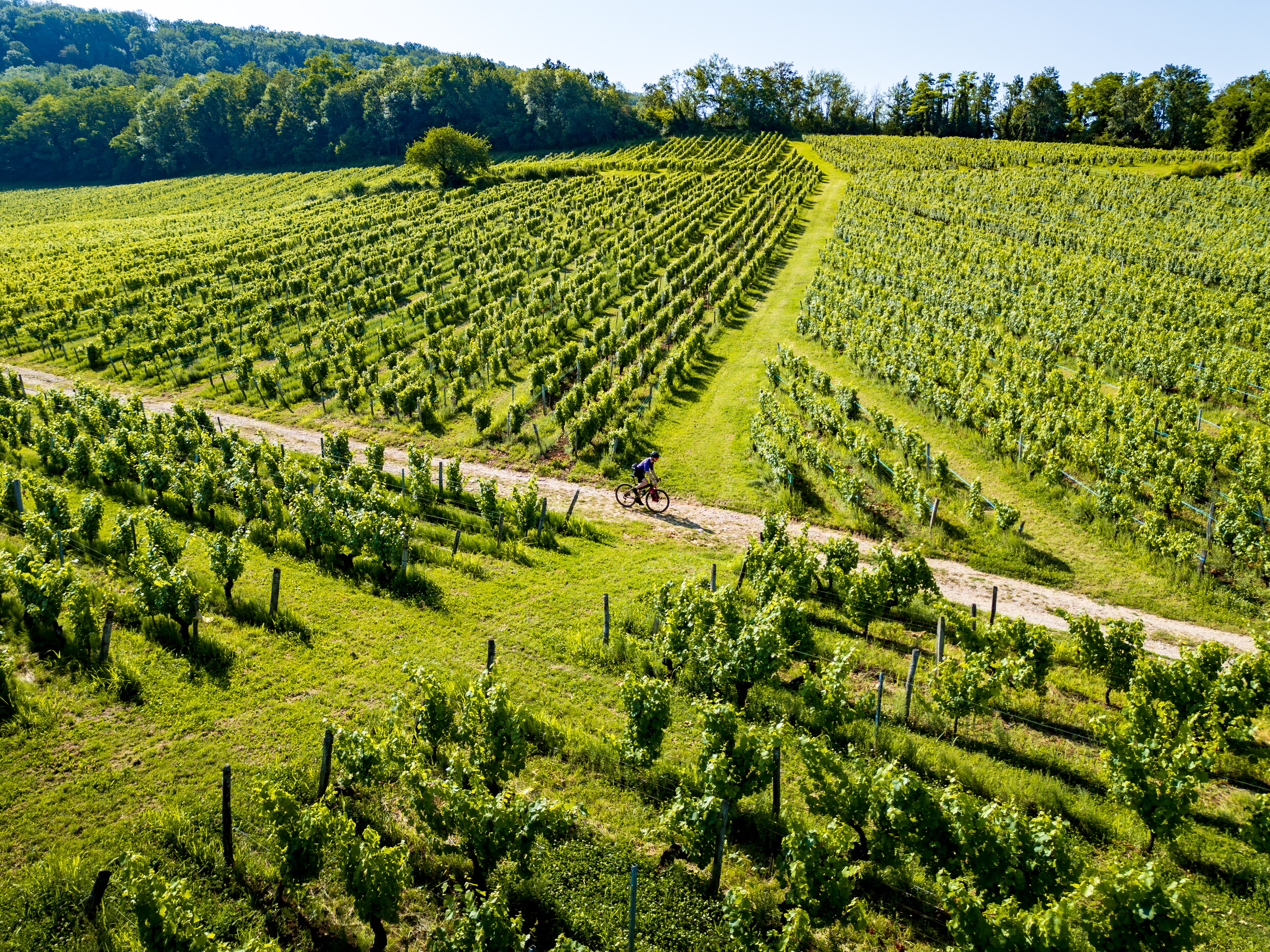 Gravel dans les vignes de Montigny les Arsures