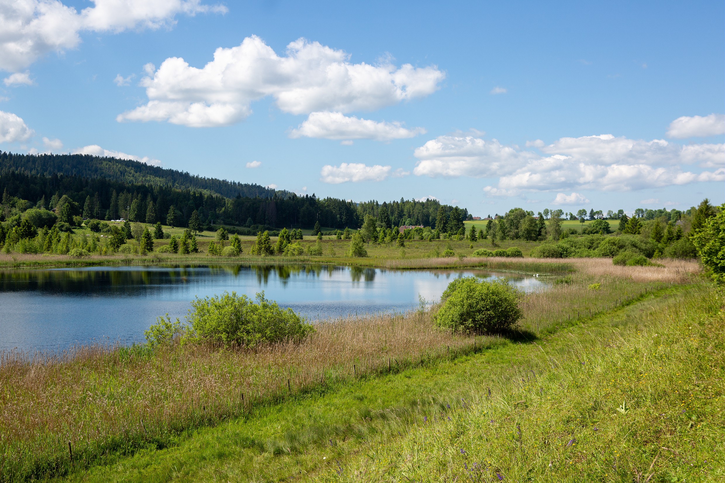 Lac des Rouges Truites