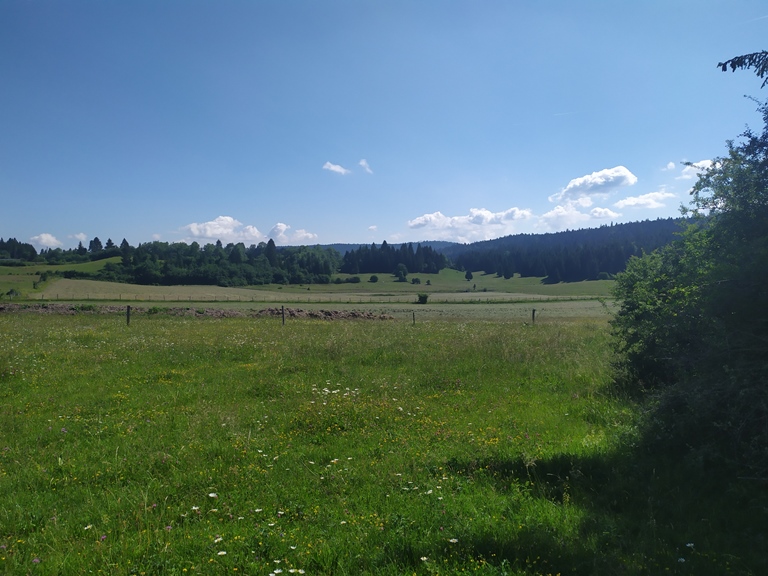 Balade dans les pâturages du Haut-Jura