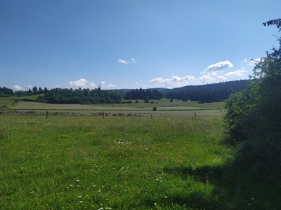 Balade dans les pâturages du Haut-Jura