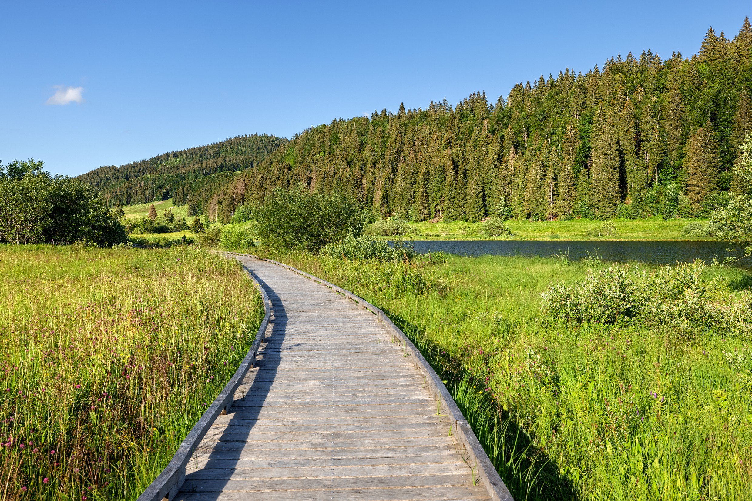 Platelage du lac de Lamoura