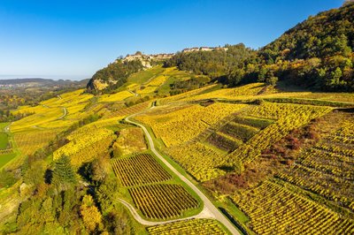 Chateau-Chalon en automne