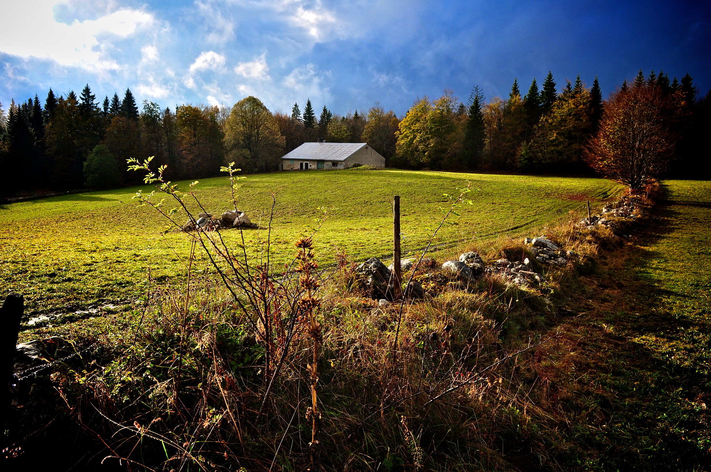 Ferme dans une combe autour de Morbier