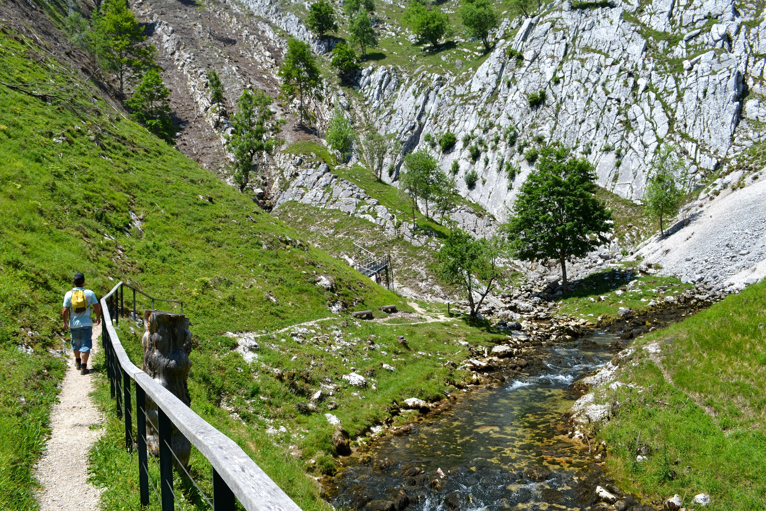 Source de la Saine