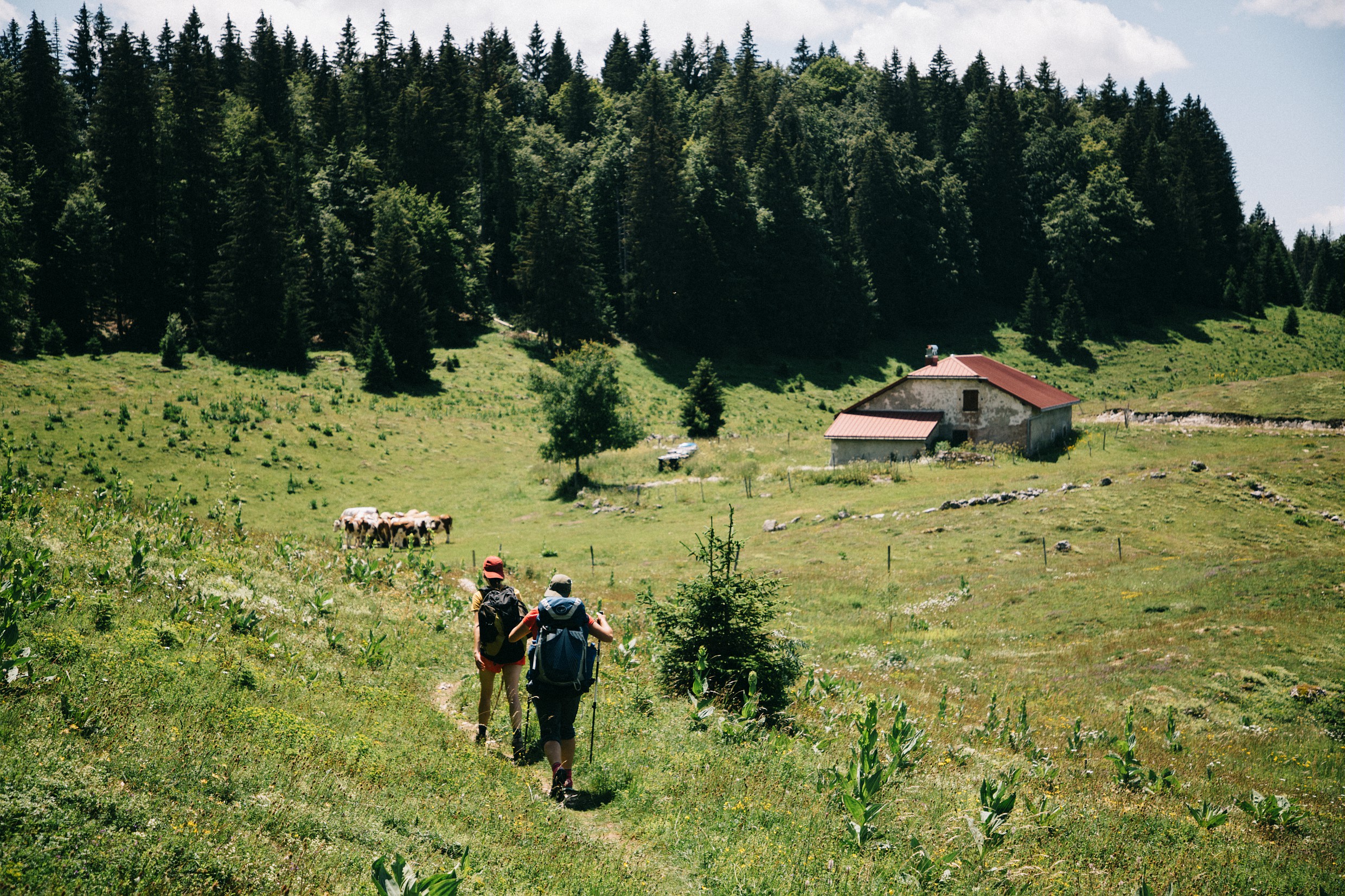 Randonneur dans les Hautes-combes