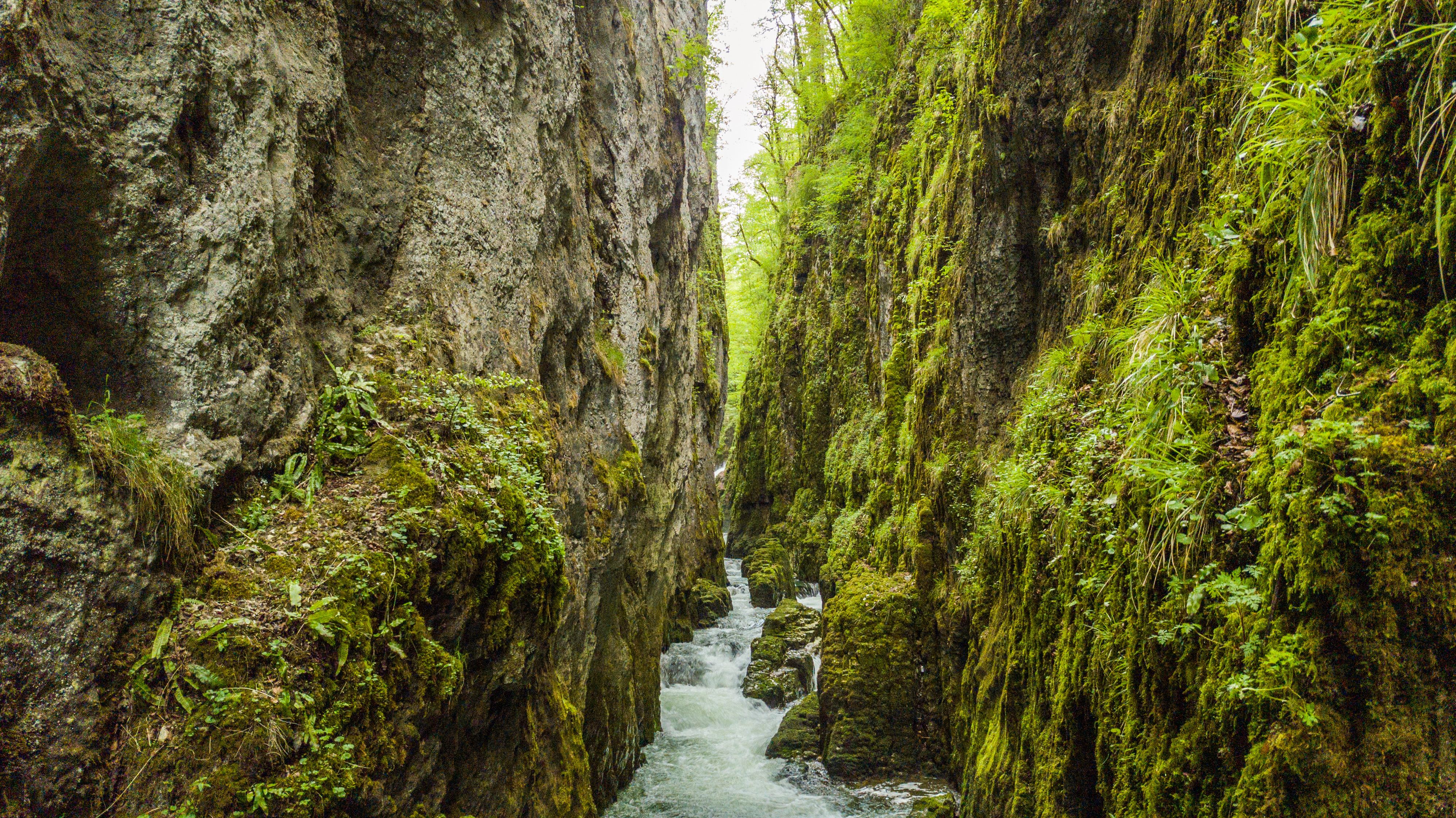 Vue sur les gorges de la Langouette