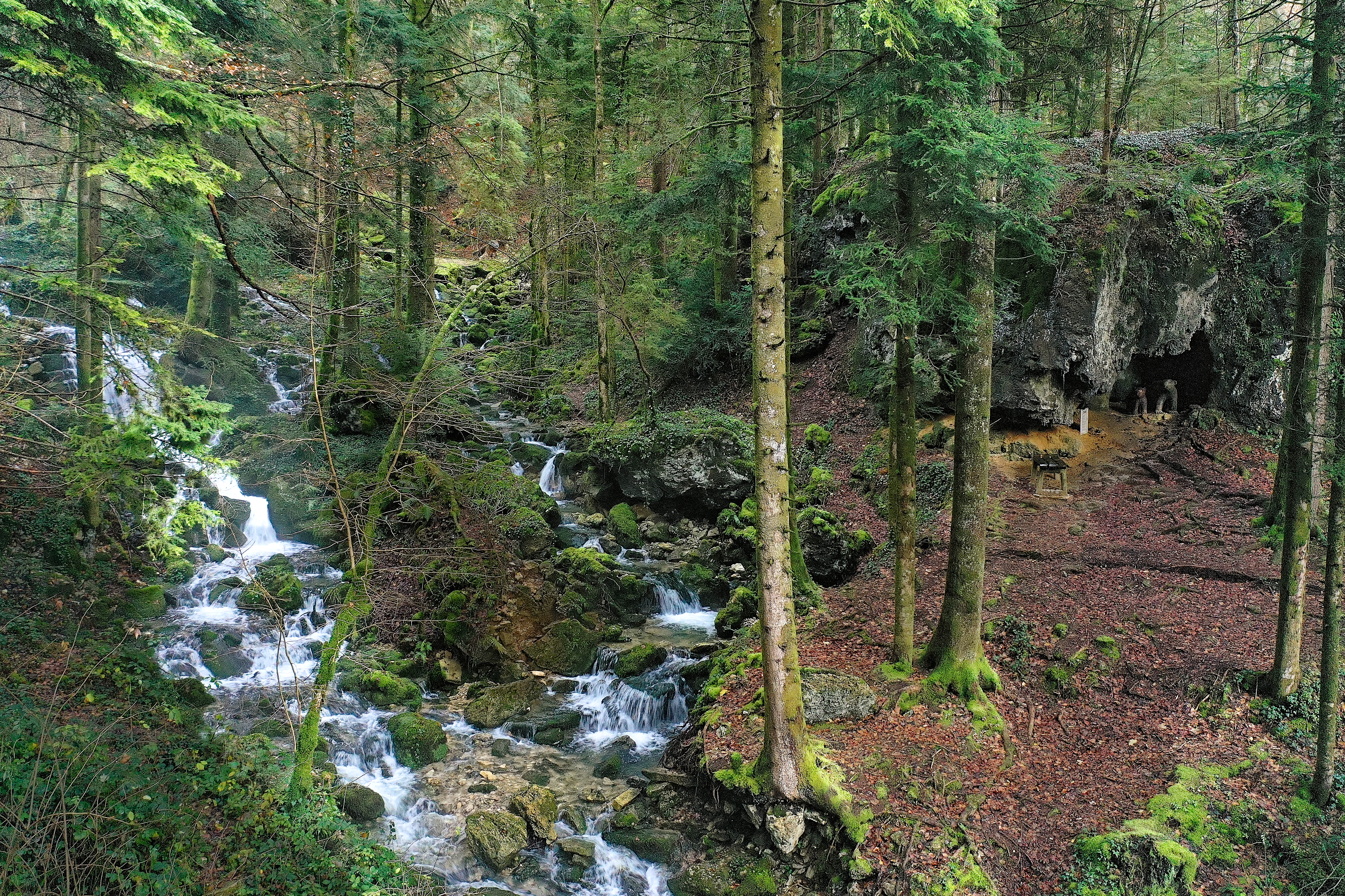 Source de l'Angillon