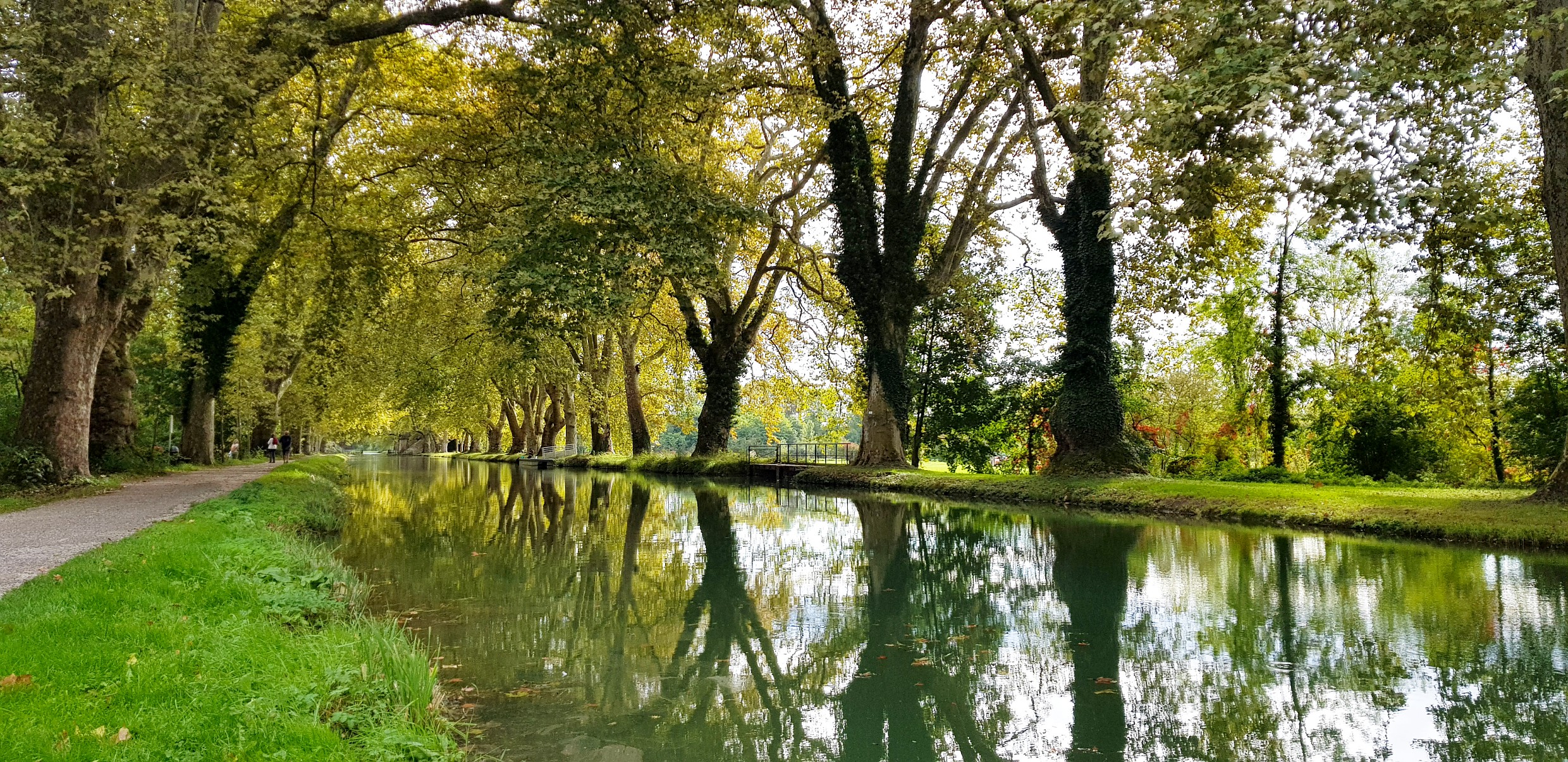 Canal du Rhône au Rhin du coté de l'écluse Charles Quint