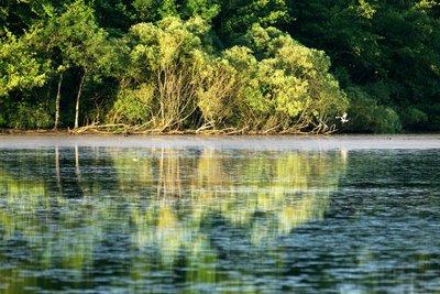 Etangs de la Bresse Jurassienne