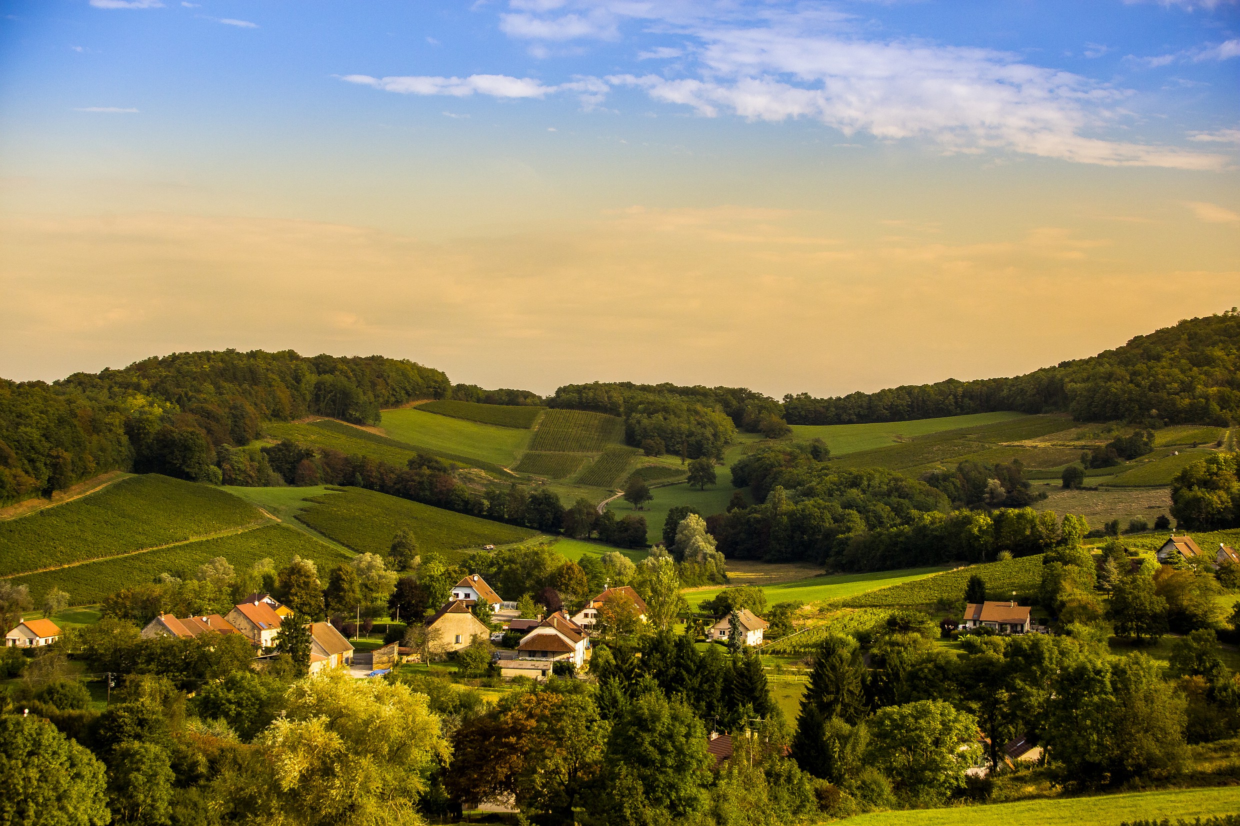 Vignes et village de l'Etoile