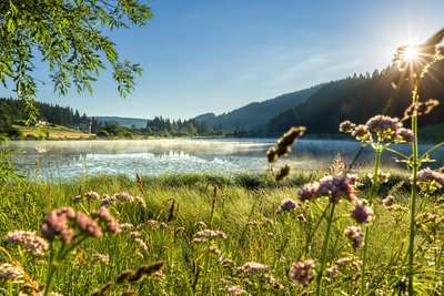 Lac de Lamoura