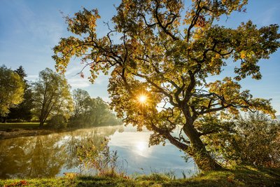 Etangs de la Bresse Jurassienne