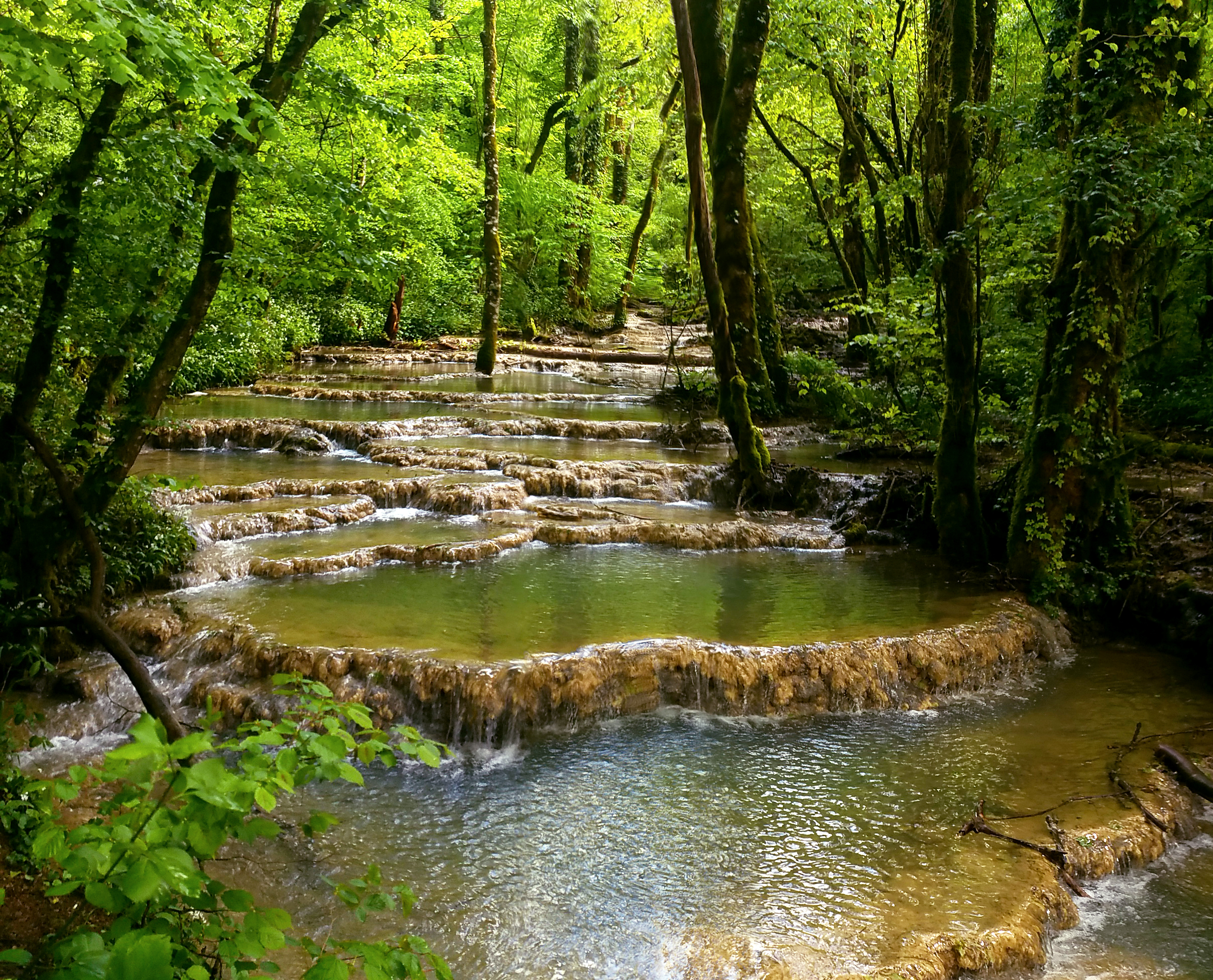 La rivière du Dard