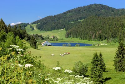 Lac de Lamoura et sa combe