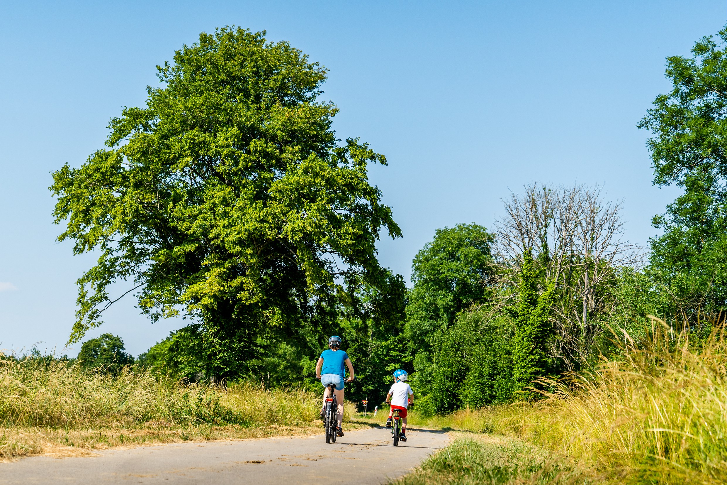 Cyclistes sur la Voie Bressane