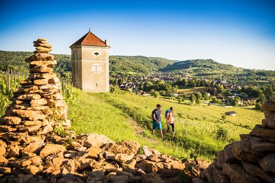 Randonnée à Arbois - Tour Curon