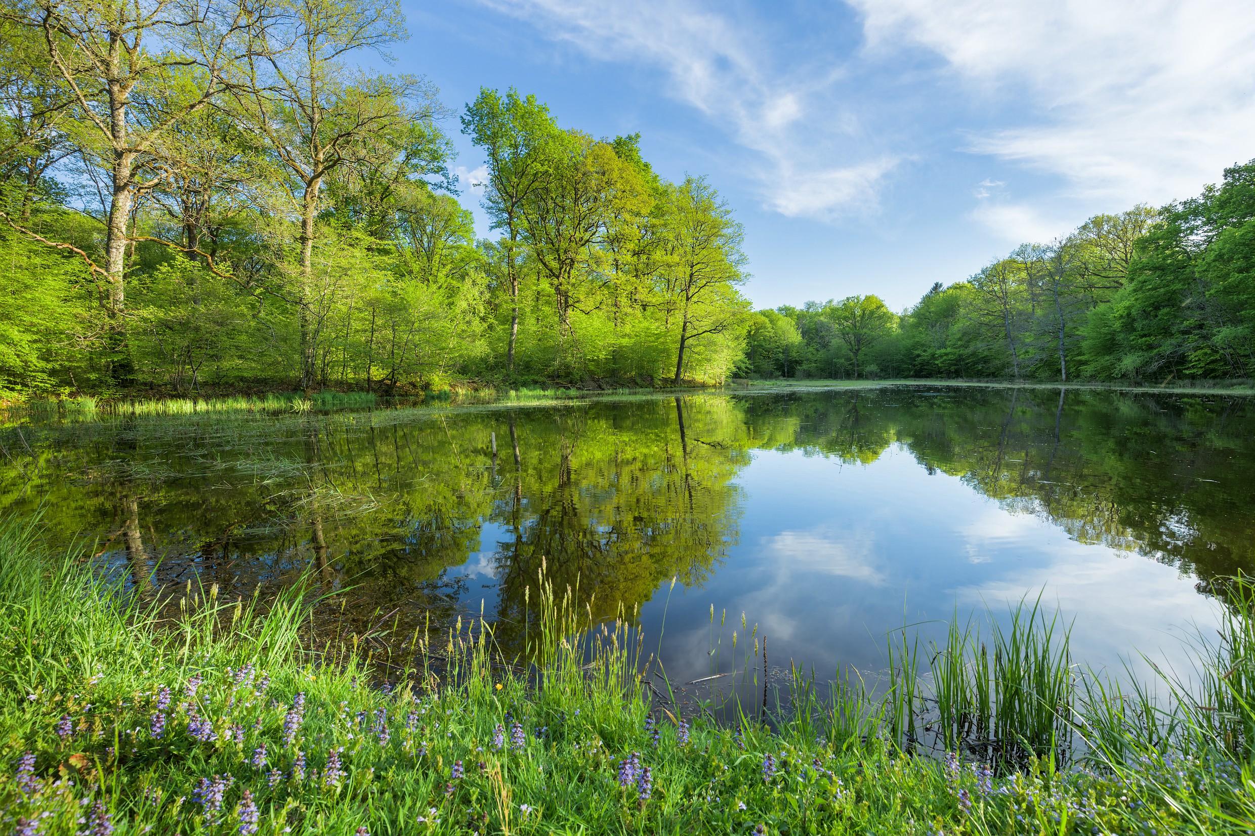 Etangs de la Bresse Jurassienne