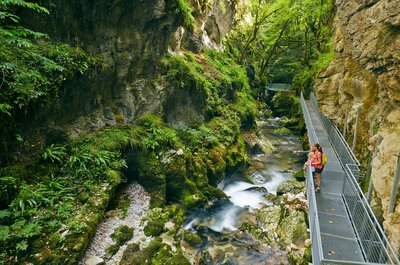 Les Gorges de l'Abîme